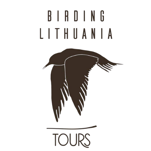 birdinglt logo